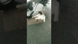 #remix #djwijaya #dj #djwillyanofficial #djremix #djwirosableng #music #djsantay #djterbaru #shorts