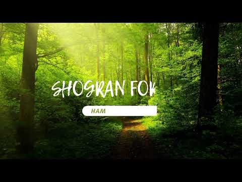 Shogran Forest Hiking ❤️