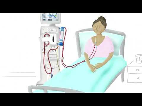 The Hemodialysis Process