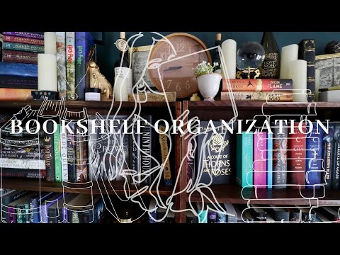 Bookshelf Organization📚 | Reorganize My Home Library with Me! | Kay's Library Tour 💕