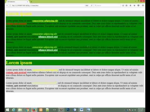Day 11 CSS Selector Part 2 & CSS Box Model