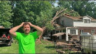 why did I hire this terrible TREE WORKER..