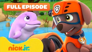 PAW Patrol Pups Pups Save a Dolphin Pup! w/ Zuma 🐬 FULL EPISODE | Nick Jr.