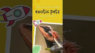 Adpost Shorts - What Are The Most Common Exotic Pets Purchased Online