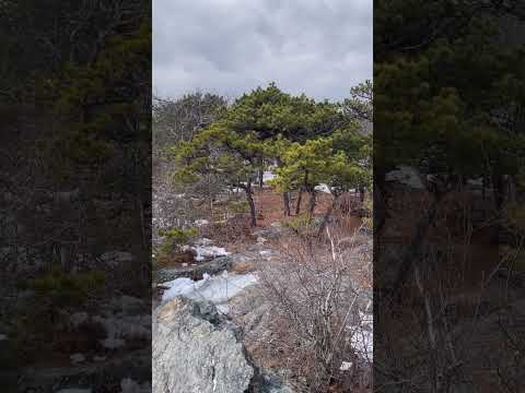 Bear Mountain summit, Salisbury, CT 2,316’ 3/9/24