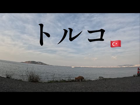 トルコ1人旅🇹🇷 イスタンブール - Traveling alone in Istanbul, Turkey