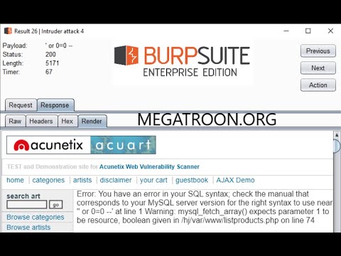 Burp Suite  - Web Scanner
