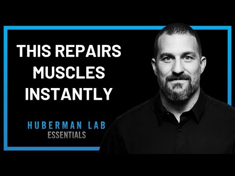 This One Food REVERSES Muscle Loss in Seniors — Even at 75! | Andrew Huberman