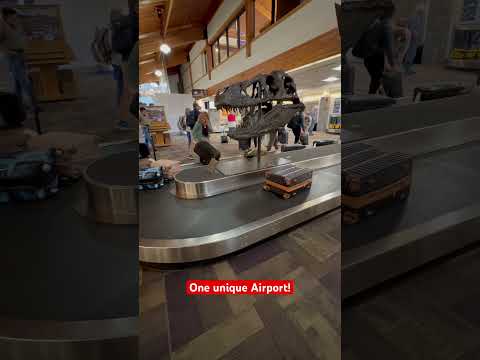 Bozeman, Montana Airport! Love it! #yellowstone #montana #airport #travel