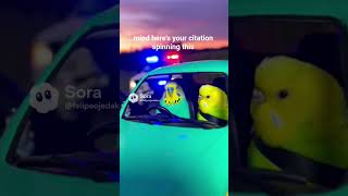 #budgies #trafficstopgonewrong #trafficstop #cops #fyp