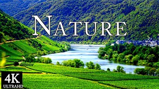 Stunning Nature Video With Piano Relax - Nature Sounds,4K Video, 4K Nature,4K UHD, Soft Relaxing
