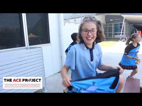 Ace Project 2019