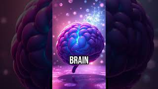 Alzheimer's quirky brain shrinkage! #Alzheimers #BrainFacts #StayInformed