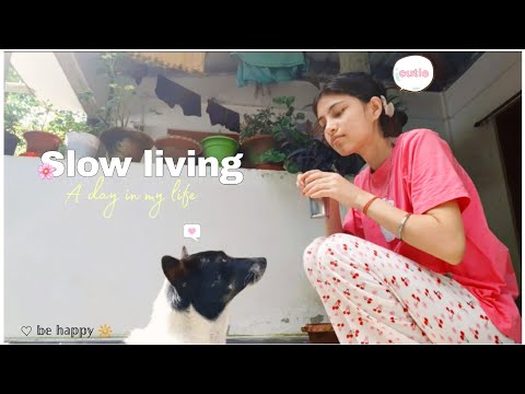 Slow living in village| Cleaning & arranging, Family Time & Evening Walk 🌸🐶