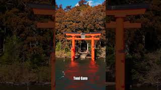 Most Beautiful Places in Japan 🇯🇵 | Dream Travel Short ✨