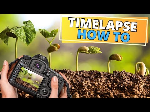 How I Film My Plant TIMELAPSES (Complete Setup Guide)