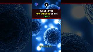 Biology important mCQs#smartstudytips