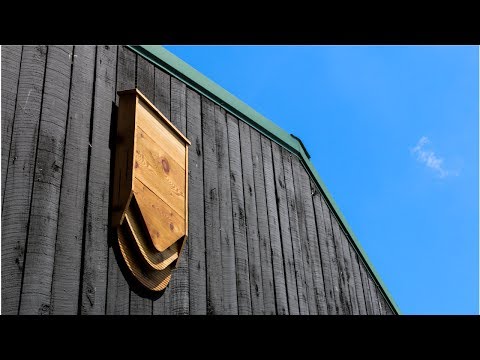 Introducing BatBnB - Crowdfunding Campaign Video