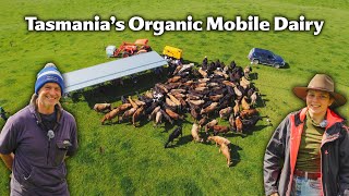 Organic Mobile Dairy! 100% Grassfed Cows = The BEST Milk!