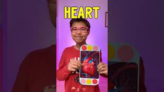 What do you think’s in there? 🧠💗Let's learn new words!