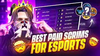 FREE FIRE TOP 5 PAID SCRIMS WHATSAPP GROUP FOR ESPORT ||  V BADGE PLAYER PAID GROUPS@ROCKYRDX
