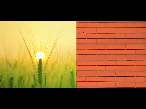 Change the Scene with Cursor 720p & 1080p full HD video | Get Free Source Code | Free Projects1