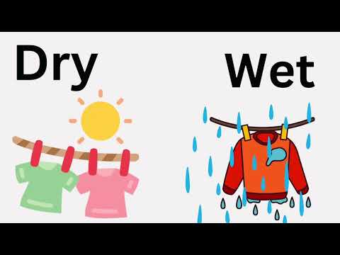 Learning Opposite Words in 3 Minutes | Fun Educational Video For Toddlers and Preschool