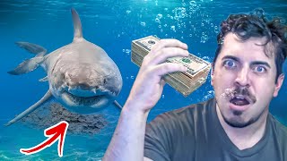 How Does a shark earn you passive crypto?