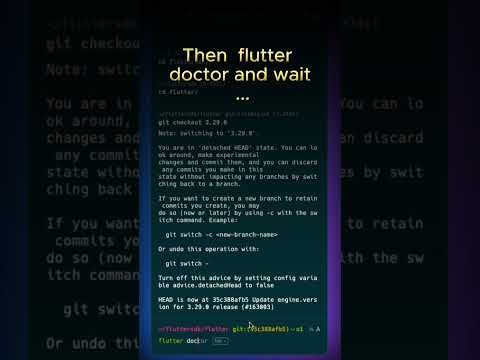 🔻💻 Flutter Downgrade Made Easy | 🔄 Switch to Older Version Fast! 🚀 @flutter #dartprogramming