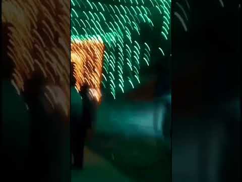 माते 🚩🌹🙏 #lakshmipuja #pujovibei #viralreels #youthistaan #vairal #trend #india #bihar #religion