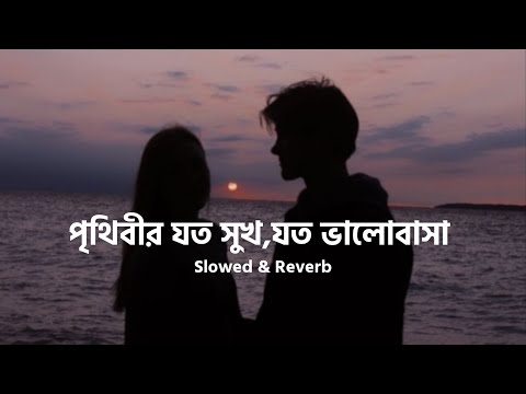 Prithibir Joto Sukh | পৃথিবীর যত সুখ | Habib Wahid & Nancy | Slowed + Reverb | Nostalgic