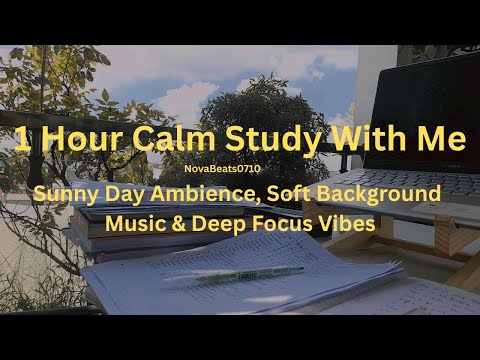1 Hour Calm Study With Me ☀️ | Sunny Day Ambience, Soft Background Music & Deep Focus Vibes