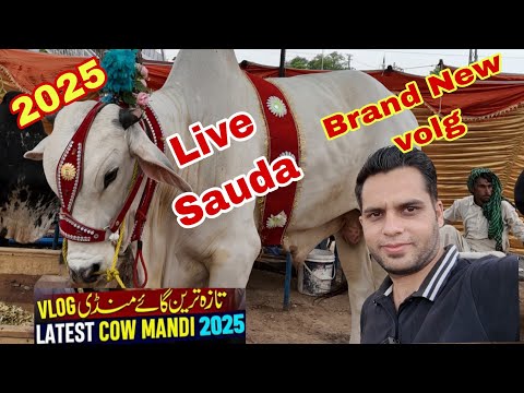 “Heavy Weight Champion Mil Gaya! Cow Mandi Tour / “Qurbani 2025 – Mandi Mein Aag Lagi Hai! 2025”