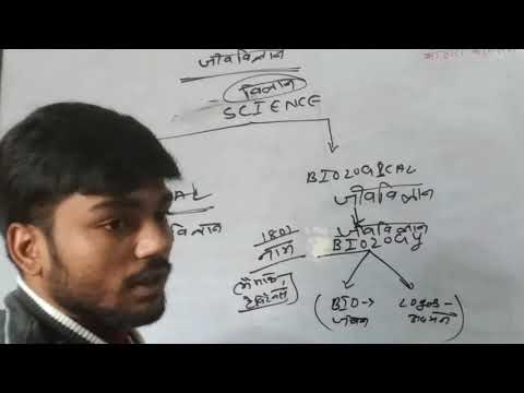 MAA SHARDA CLASSES SHERGHATI GAYA