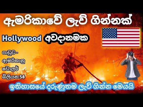 America's wildfires 🇺🇸 | @lokasancharakaya | USA | 2025