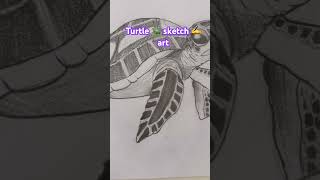 Turtle sketch art #turtle #sketch #turtleart #kidscreativity #kidsart #kidsactivities #kidslearning