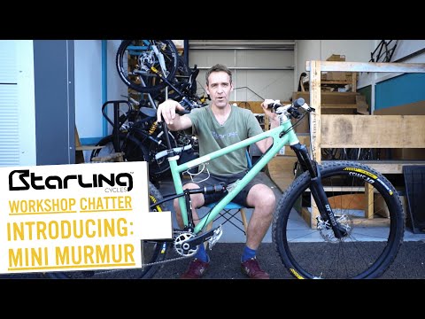 A STEEL XC bike?! Starling Cycles Mini Murmur | Workshop Chatter