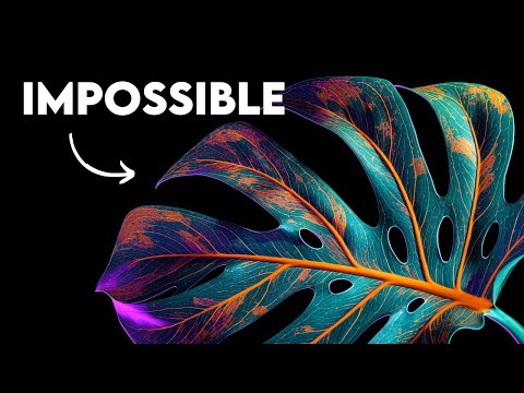 The Quantum Secret Inside Every Leaf