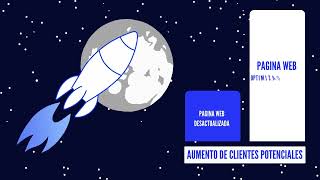 Vectory Web Dev Solutions