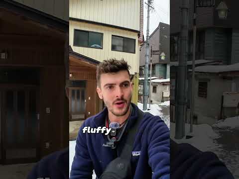 First impressions of Japanese mountain village 🇯🇵