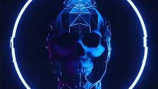 VJ LOOPS 2019
