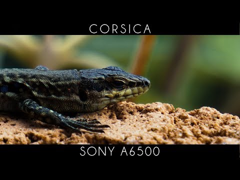 Nature of Corsica ||| Sony A6500