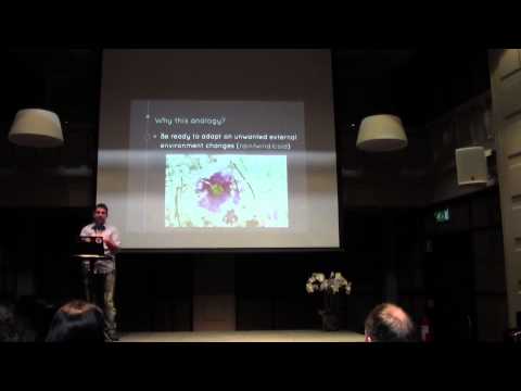 The Art of Software Gardening, Speaker: Patroklos Papapetrou