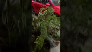 Teacher Office Vlog | Day 1 | Green Campus | Anupam Sir