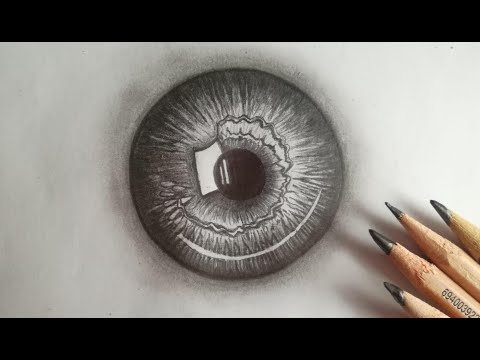 How to draw Realistic Iris - step by step for beginners
