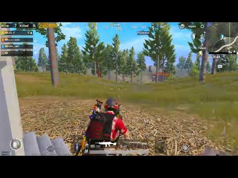 APEX LEGENDS