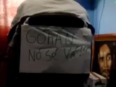 VOLVI A LA VIDA