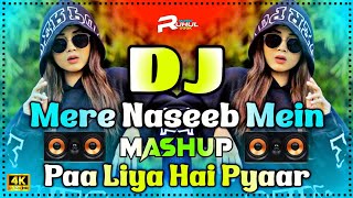 Mere Naseeb Mein Dj X Paa Liya Hai Pyaar Tera Dj | Hindi Old Mashup | Hindi Dj Song | Hindi Dj 2025