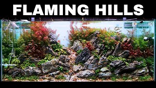 Epic 4ft Aquarium Build For GLOWING Fish! Aquascape Tutorial