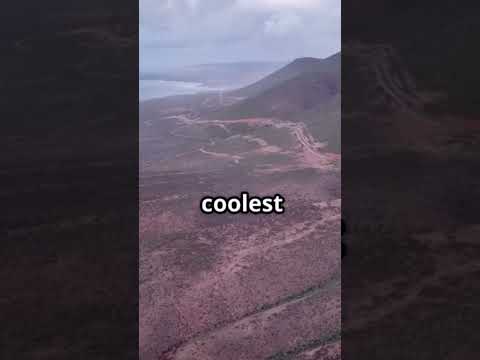 #wildlife #travel #oceanfacts #nature #exploretheocean #earth #oceanlovers #atlanticocean #facts